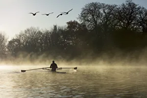 Sculling In Mist On River Thames; London, England Sculling In Mist On River Thames; London, England