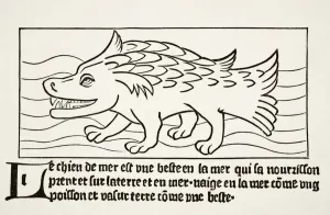 The Sea-Dog After A Wood Engraving In Dyalogue Des Creatures Published 1482 The Sea-Dog After A Wood Engraving In Dyalogue Des Creatures Published 1482