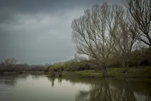 Shoreline reflections in a tranquil river scene, Ebro River, Spain; Benissanet, Tarragona, Spain Shoreline reflections in a tranquil river scene, Ebro River, Spain; Benissanet, Tarragona, Spain
