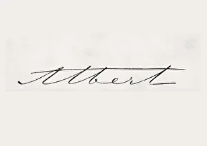 Signature Of Albert Prince Consort Of Great Britain And Ireland Original Name Francis Albert Augustus Charles Emmanuel Signature Of Albert Prince Consort Of Great Britain And Ireland Original Name Francis Albert Augustus Charles Emmanuel