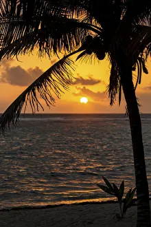 Silhouette Of A Coconut Tree Along The Shoreline With An Orange Sun And Clouds In Silhouette Of A Coconut Tree Along The Shoreline With An Orange Sun And Clouds In