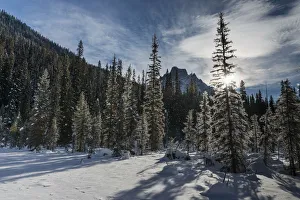 Snow On The Rugged Canadian Rocky Mountains And Trees, Yoho National Park; Field, British Columbia, Canada Snow On The Rugged Canadian Rocky Mountains And Trees, Yoho National Park; Field, British Columbia, Canada