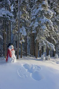 Snowman And Freshly Made Snowman Snow Angel In Front Of A Spruce Forest;Anchorage Snowman And Freshly Made Snowman Snow Angel In Front Of A Spruce Forest;Anchorage