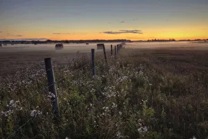 Summer Sunset Over Mist-Covered Pasture, Central Alberta Summer Sunset Over Mist-Covered Pasture, Central Alberta