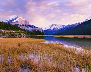 Tangle Ridge And Mount Kitchener At Sunset Reflected In Pond Near Beauty Creek Hostel Tangle Ridge And Mount Kitchener At Sunset Reflected In Pond Near Beauty Creek Hostel