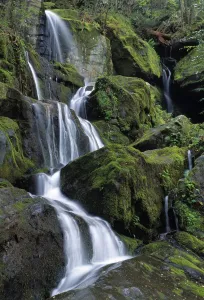 Thousand Drips Waterfall, Roaring Fork Area, Great Smoky Mountains National Park Thousand Drips Waterfall, Roaring Fork Area, Great Smoky Mountains National Park
