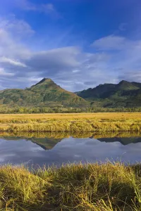 Tidal Slough And Mountain Scenic Along Womens Bay, Early Morning, Kodiak Island, Alaska Tidal Slough And Mountain Scenic Along Womens Bay, Early Morning, Kodiak Island, Alaska