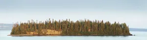 Trees Covering An Island On Lake Superior At Sunset; Thunder Bay, Ontario, Canada Trees Covering An Island On Lake Superior At Sunset; Thunder Bay, Ontario, Canada