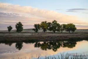 Trees reflected in a placid pond in the Rocky Mountain Arsenal Wildlife Refuge near Denver, Colorado, USA; Colorado Trees reflected in a placid pond in the Rocky Mountain Arsenal Wildlife Refuge near Denver, Colorado, USA; Colorado
