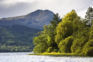 Trees on Shoreline, Loch Ard, Trossachs, Scotland Trees on Shoreline, Loch Ard, Trossachs, Scotland