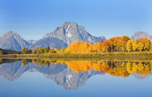 USA, Grand Teton National Park; Wyoming, Mount Moran In Distance, Landscape Of Oxbow Bend On Snake River USA, Grand Teton National Park; Wyoming, Mount Moran In Distance, Landscape Of Oxbow Bend On Snake River