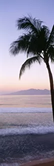 Images Dated 22nd December 2000: USA, Hawaii, Molokai In Background; Maui, Palm Tree Along Shoreline, Maui Beach At Twilight