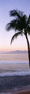 USA, Hawaii, Molokai In Background; Maui, Palm Tree Along Shoreline, Maui Beach At Twilight USA, Hawaii, Molokai In Background; Maui, Palm Tree Along Shoreline, Maui Beach At Twilight