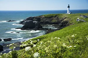 USA, Oregon, Yaquina Head Historic Lighthouse And Natural Wilderness Area; Newport USA, Oregon, Yaquina Head Historic Lighthouse And Natural Wilderness Area; Newport
