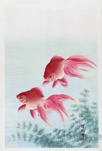 Two Veiled Goldfish, by Japanese artist Ohara Koson, 1877 - 1945. Ohara Koson was part of the shin-hanga Two Veiled Goldfish, by Japanese artist Ohara Koson, 1877 - 1945. Ohara Koson was part of the shin-hanga