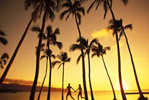 View Of Couple In Park By Beach Palm Trees, Golden Sunset View Of Couple In Park By Beach Palm Trees, Golden Sunset