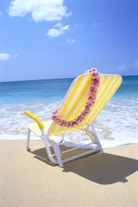 Back View Of Yellow Beach Chair In Sand, Gentle Shore Waters, Pink Lei C1724 Back View Of Yellow Beach Chair In Sand, Gentle Shore Waters, Pink Lei C1724
