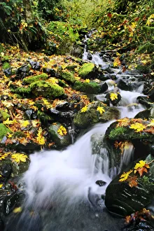 Washington, Cascade Mountains, Mount Baker, Snoqualmie National Forest Washington, Cascade Mountains, Mount Baker, Snoqualmie National Forest