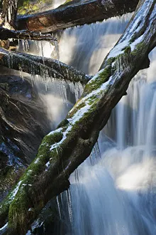 Waterfall With Ice In The Rainforest Along The Herring Cove Trail, Near Sitka; Alaska, United States Of America Waterfall With Ice In The Rainforest Along The Herring Cove Trail, Near Sitka; Alaska, United States Of America