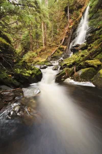 Waterfall On Institute Creek, Wrangell Island Alaska Waterfall On Institute Creek, Wrangell Island Alaska
