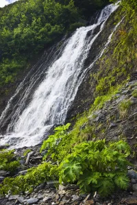 Waterfall In Shoup Bay State Marine Park, Prince William Sound, Southcentral Alaska Waterfall In Shoup Bay State Marine Park, Prince William Sound, Southcentral Alaska