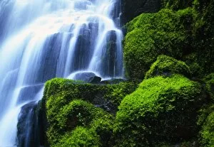 Images Dated 27th February 2006: Waterfall On Wahkeena Creek, Columbia River Gorge