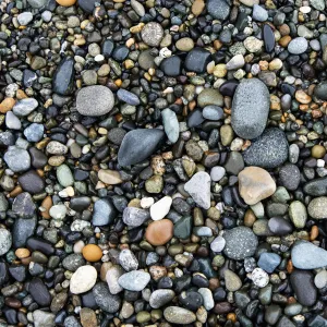 Wet Rocks On The Beach; Oak Harbor, Washington, United States Of America Wet Rocks On The Beach; Oak Harbor, Washington, United States Of America