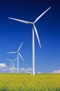 Wind Turbines In Canola Field, Near St. Leon, Manitoba Wind Turbines In Canola Field, Near St. Leon, Manitoba
