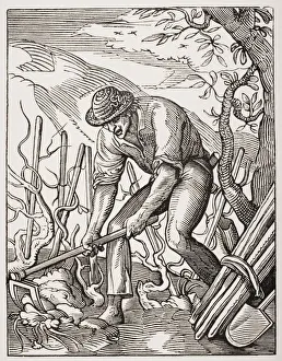 The Wine Grower. 19Th Century Reproduction Of 16Th Century Engraving By Jost Amman The Wine Grower. 19Th Century Reproduction Of 16Th Century Engraving By Jost Amman