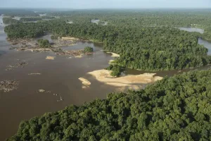 Essequibo River Print, Guyana Rainforest Landscape
