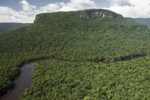 Potaro River Print, Kaieteur National Park
