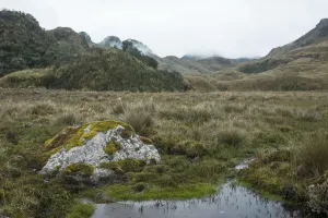 Paramo Landscape Print