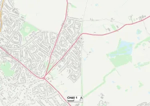 Wirral CH60 1 Postcode Sector Print Map