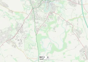 County Durham DH1 3 Print Map Sector