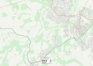 County Durham DH8 8 Print Map Sector