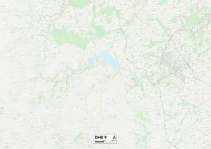 County Durham DH8 9 Postcode Sector Print Map