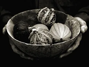 Cucurbita Pepo Images Prints: AKC_0088