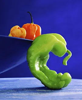 Sweet Pepper Images Prints: BA_0078