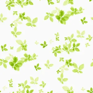 Beech Leaf Print on White Background