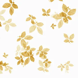 Brown Beech Leaf Print on White Background