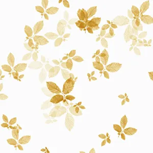 Brown Beech Leaf Print on White Background