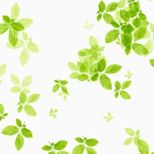Beech Leaves Print, Green on White