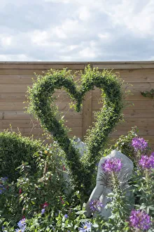 Print of a heart-shaped Buxus sempervirens sculpture amidst summer flowers and a statue