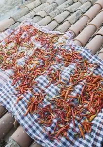 Red and Orange Chilies Print