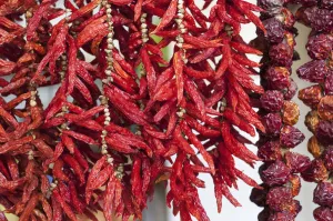 Edible Fruit Photography Prints: Chilli pepper, Capsicum annuum
