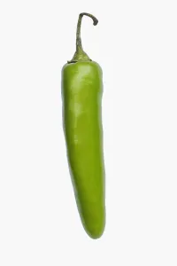 Capsicum Annuum Prints: Chilli, Serrano Chili, Capsicum annuum Serrano, Studio shot of green fruit against