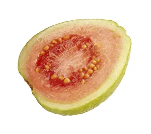 Guava Mixed Colours Print on White Background
