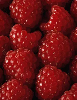 Raspberry Red Print - Rubus idaeus Flower Photo