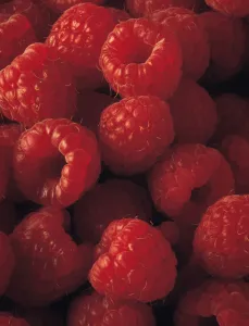 Raspberry Red Print