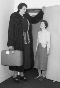 1954 Tallest woman in the world Katja Van Dyk, 8 foot 4 and a half inch tall 1954 Tallest woman in the world Katja Van Dyk, 8 foot 4 and a half inch tall